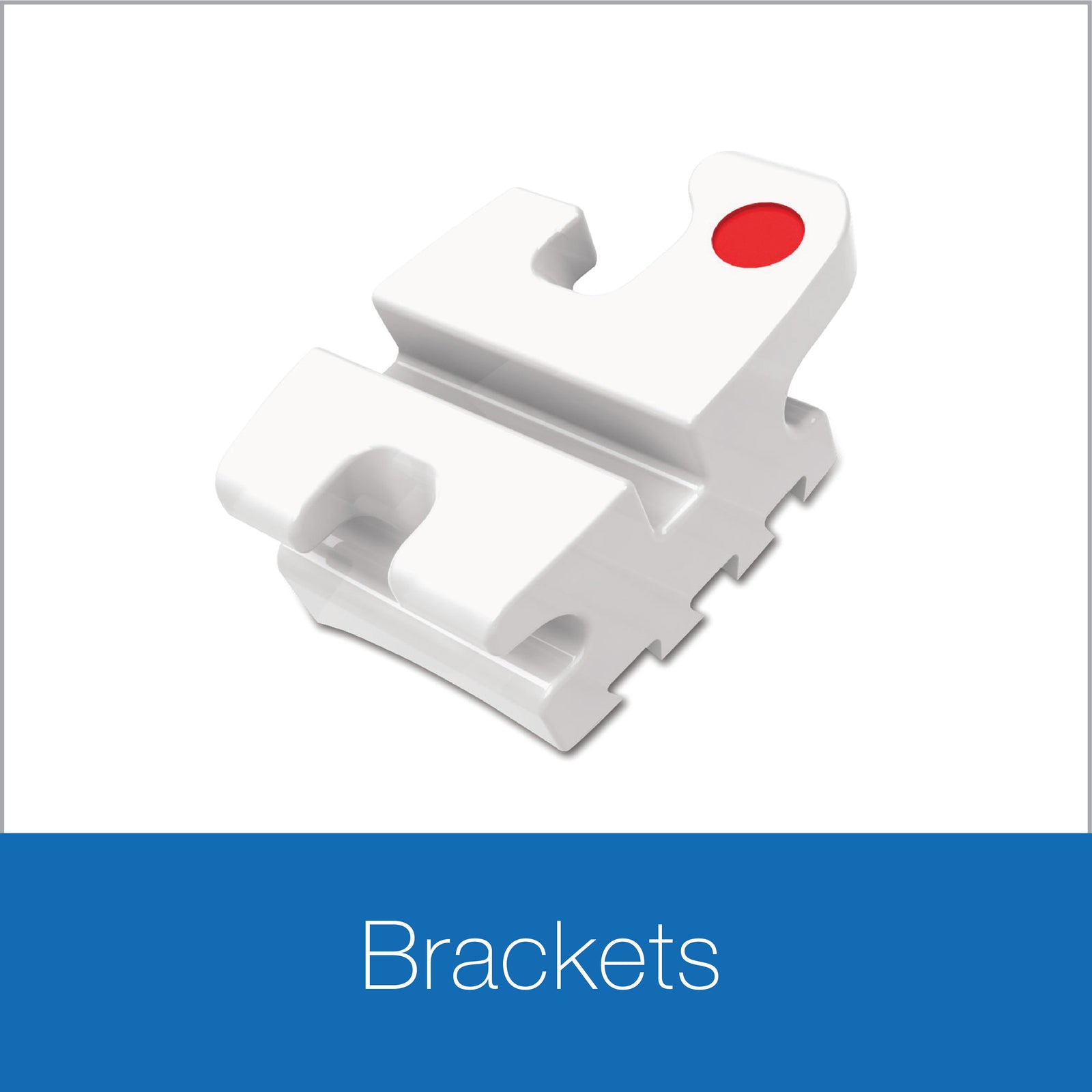 Orthodontic - HSHK