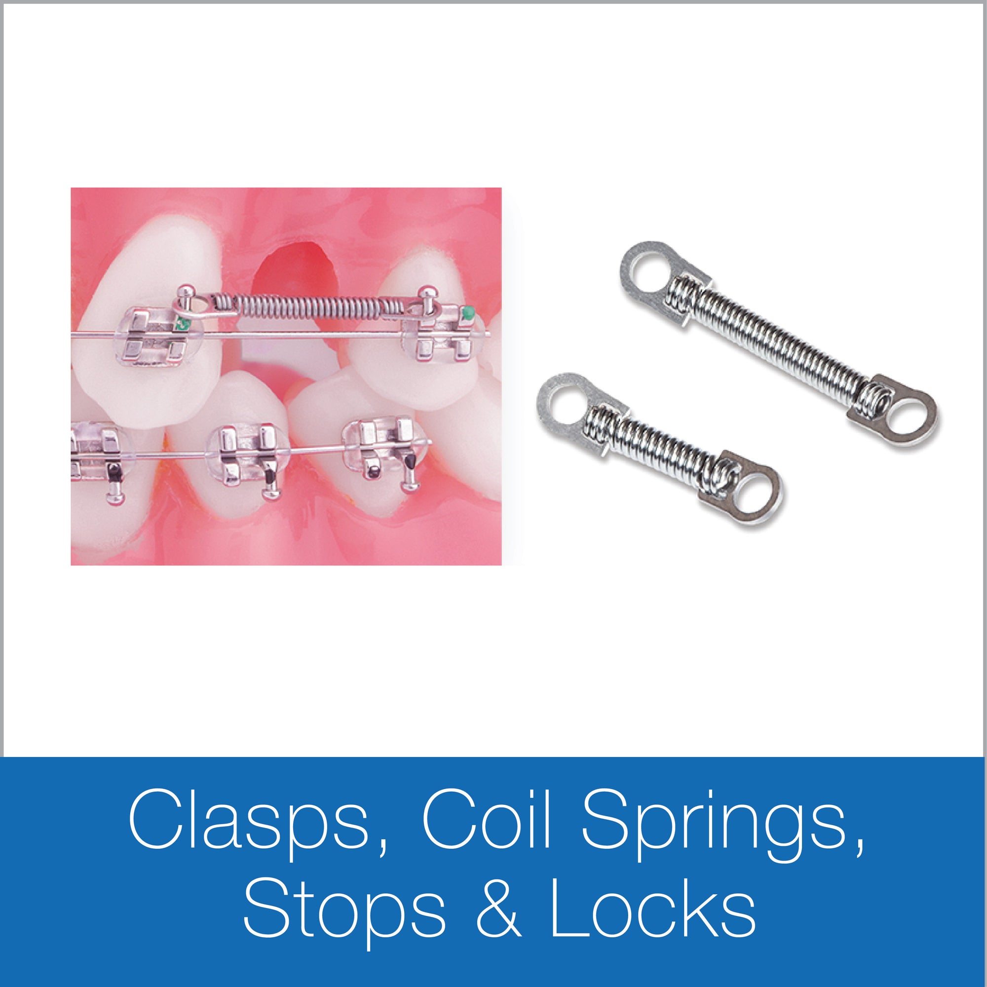 Clasps, Coil Springs, Stops & Locks
