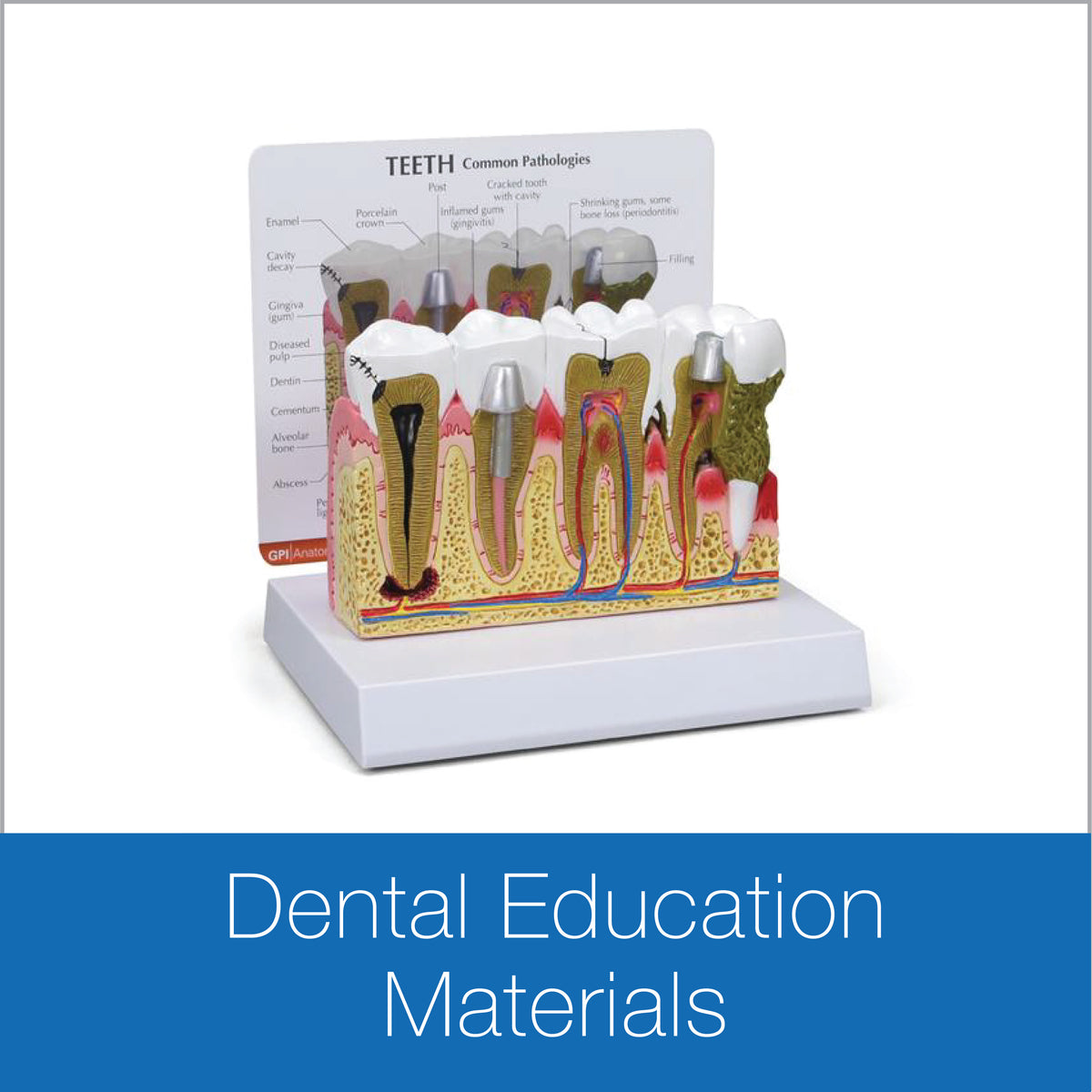 Dental Education Materials HSHK
