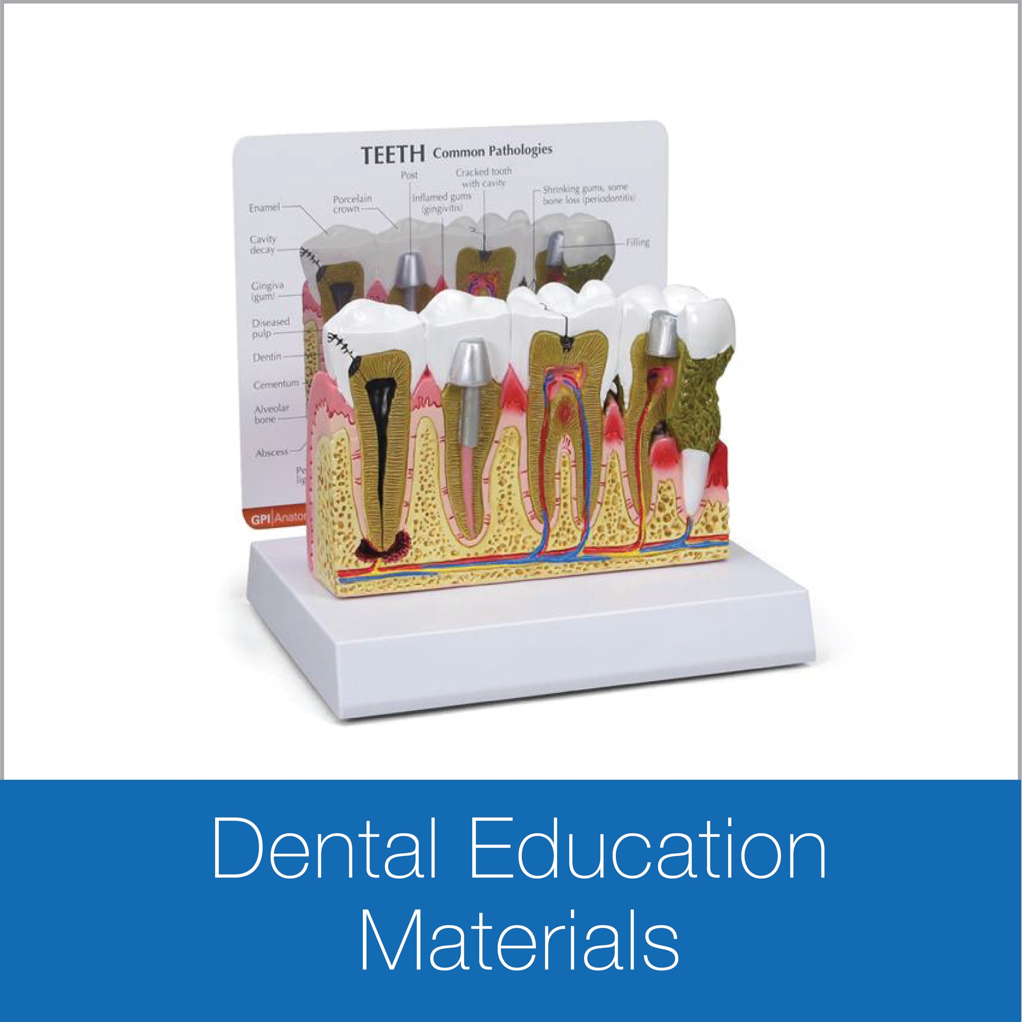 Dental Education Materials