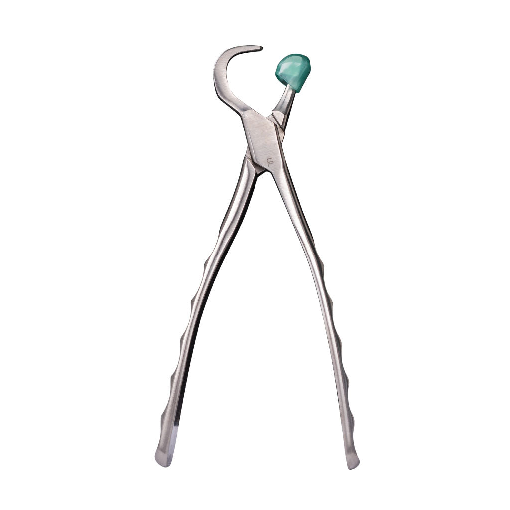 Directa Physics Forceps Standard Series Upper Left GMX100 Each