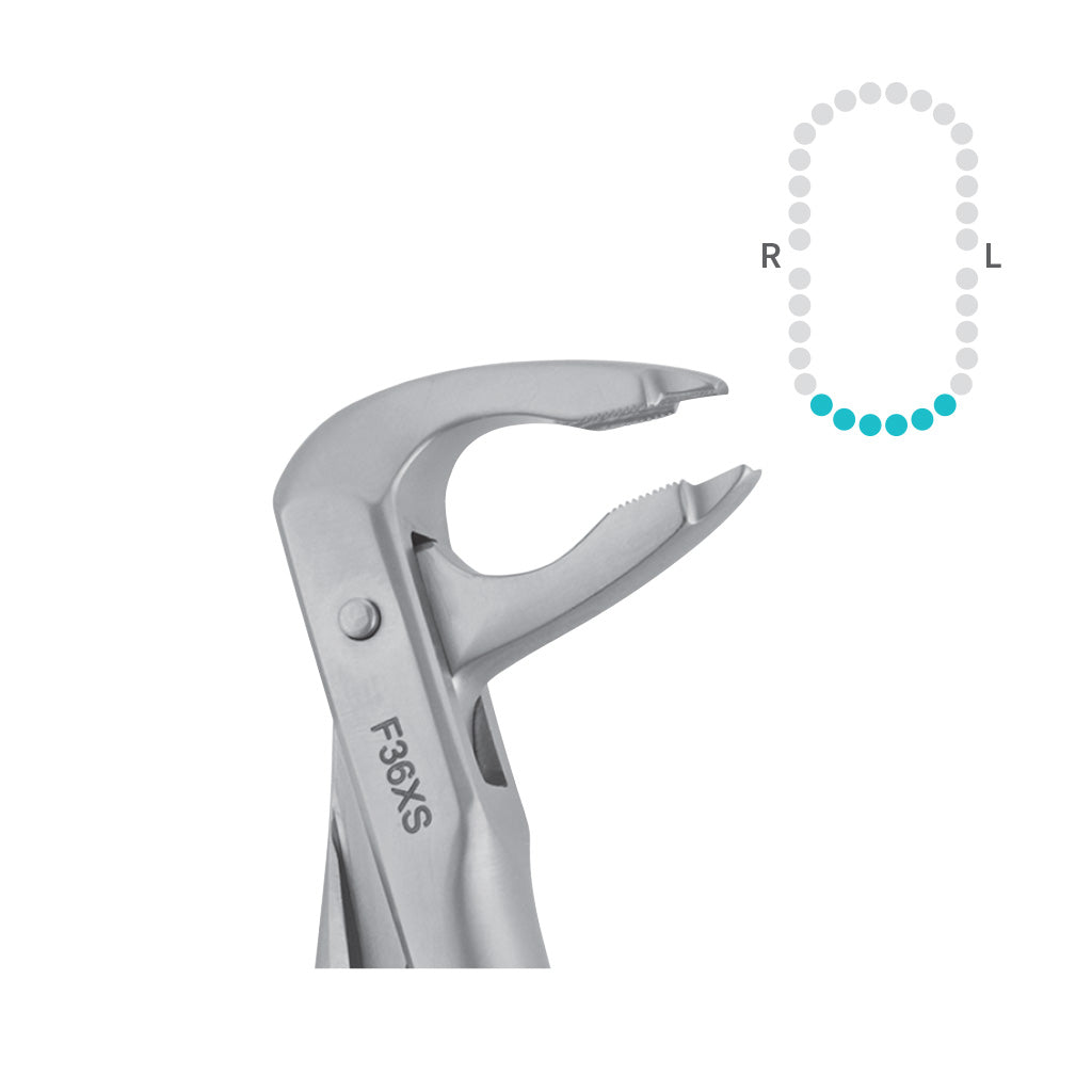 Hu-Friedy 36 Forceps, Lower Incisors & Canines, Atraumair Each