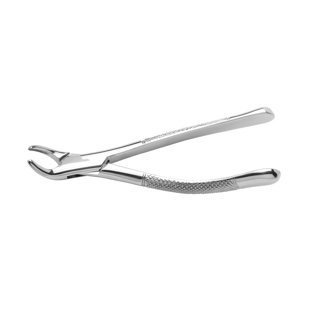 HS Extracting Forcep #151 SG Serrated Each